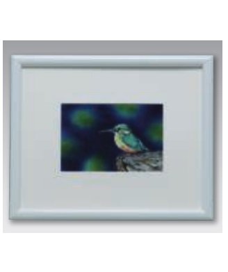 Amazon.co.jp: 七宝焼 カワセミ 額 111-06 : ホーム＆キッチン